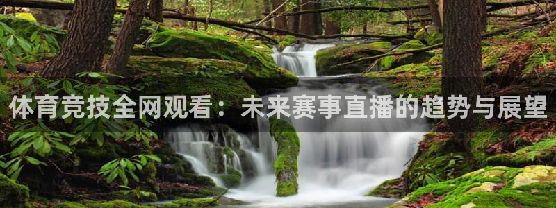 绿茵体育免费观看：体育竞技全网观看：未来赛事直播的趋势与展望