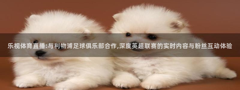 nba直播绿茵：乐视体育直播:与利物浦足球俱乐部合作,深度英超联赛的实时内容与粉丝互动体验