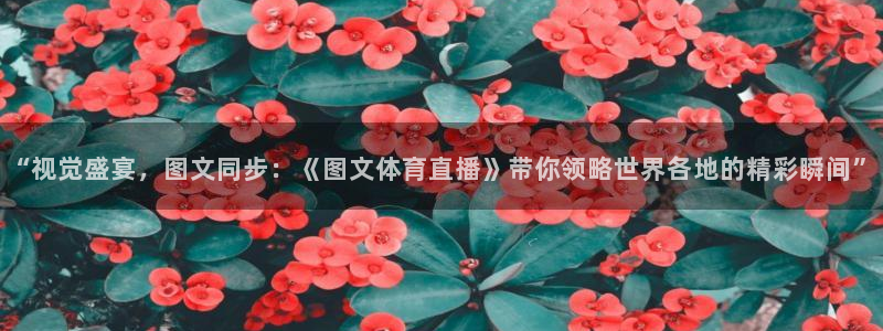 绿茵直播体育nba：“视觉盛宴，图文同步：《图文体育直播》带你领略世界各地的精彩瞬间”