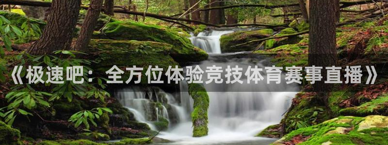 绿茵足球：《极速吧：全方位体验竞技体育赛事直播》