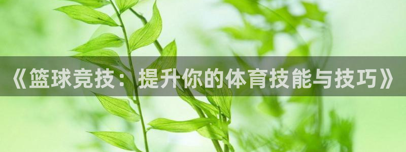 绿茵体育直播9939：《篮球竞技：提升你的体育技能与技巧》