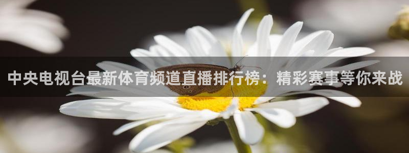 绿茵直播体育：中央电视台最新体育频道直播排行榜：精彩赛事等你来战