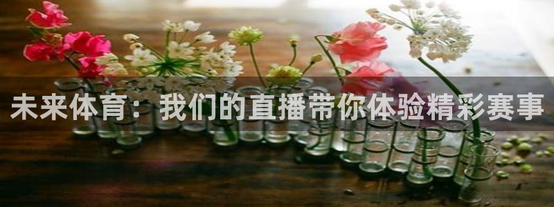 绿茵体育直播9939：未来体育：我们的直播带你体验精彩赛事