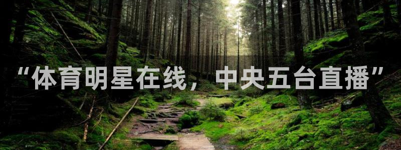 绿茵体育足球免费直播：“体育明星在线，中央五台直播”