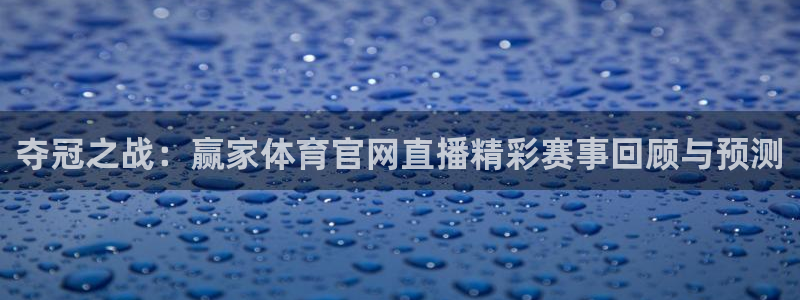 绿茵体育在线观看：夺冠之战：赢家体育官网直播精彩赛事回顾与预测