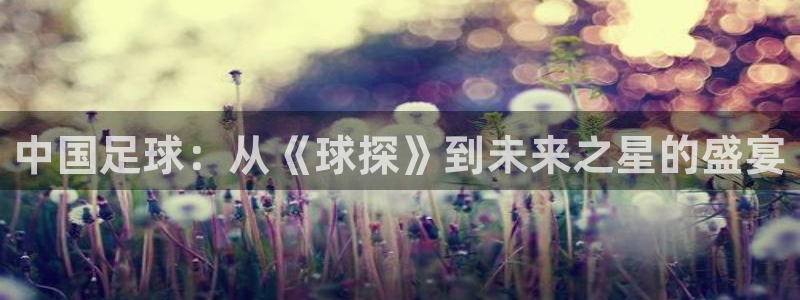 绿茵体育足球免费直播：中国足球：从《球探》到未来之星的盛宴