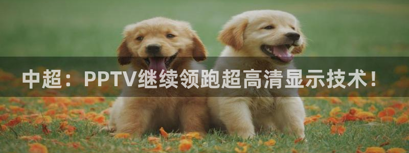足球]绿茵魔术师：中超：PPTV继续领跑超高清显示技术！
