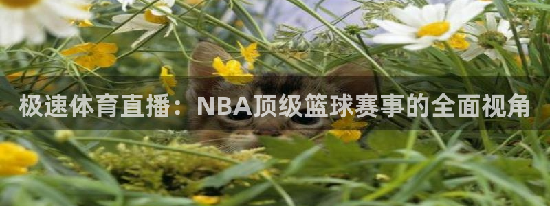 nba免费直播在线直播绿茵