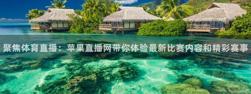 绿茵篮球直播在线观看：聚焦体育直播：苹果直播网带你体验最新比赛内容和精彩赛事