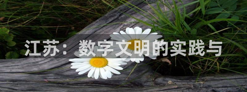 绿茵足球直播晚晚：江苏：数字文明的实践与